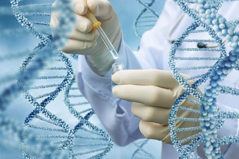 Dna Testing
