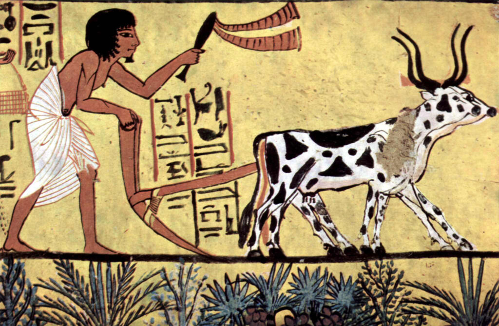 Daily Life In Ancient Egypt 1 Daily Life In Ancient Egypt
