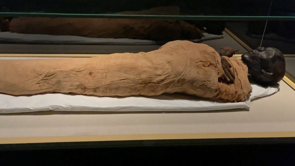 Royal Mummy Room