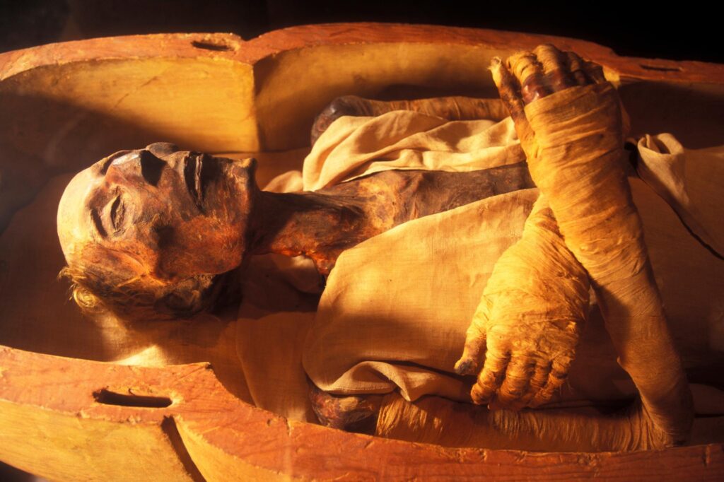 Royal Mummy Room At Egyptian Museum