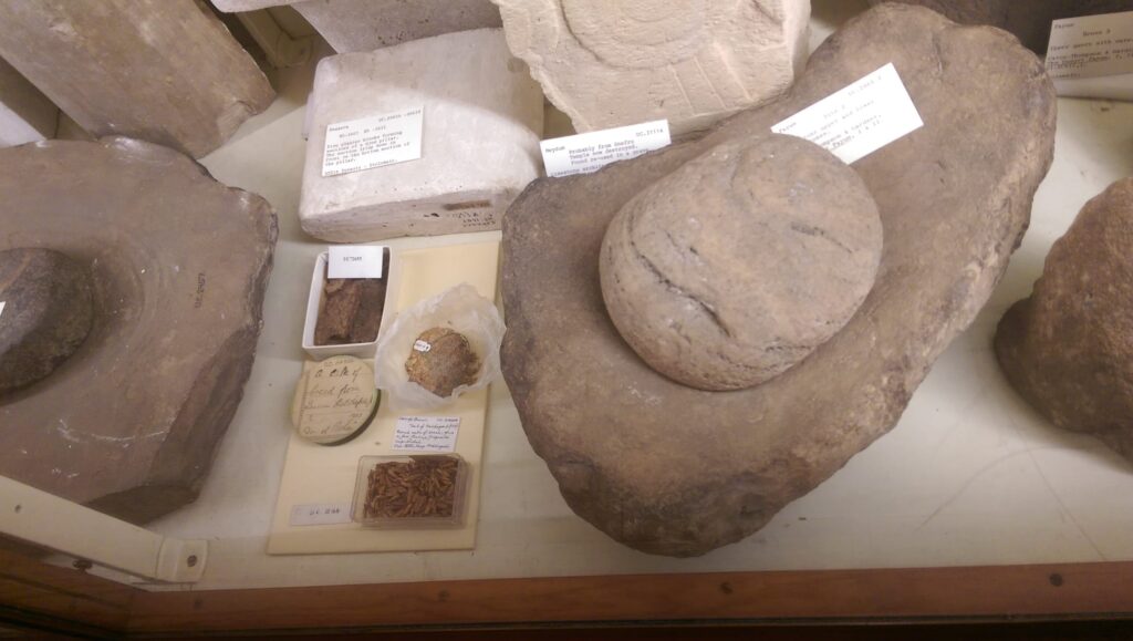 Ancient Egyptian Bread