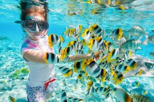 Snorkeling in Hurghada Red Sea