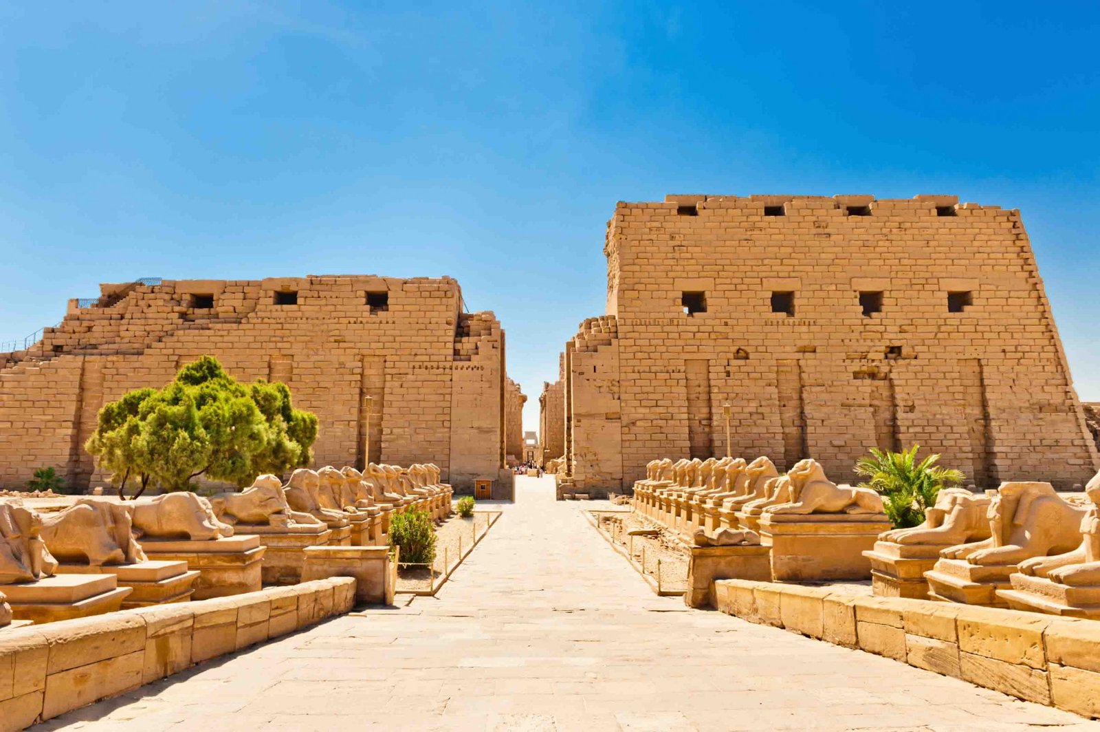 Luxor  1 day tour from Safaga port