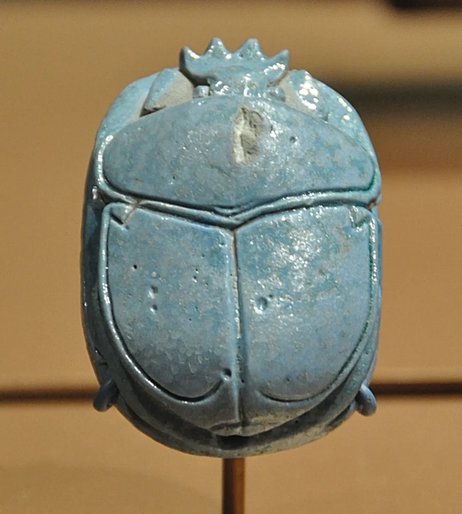 Scarab Beetle