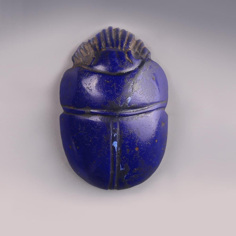 Scarab Beetle