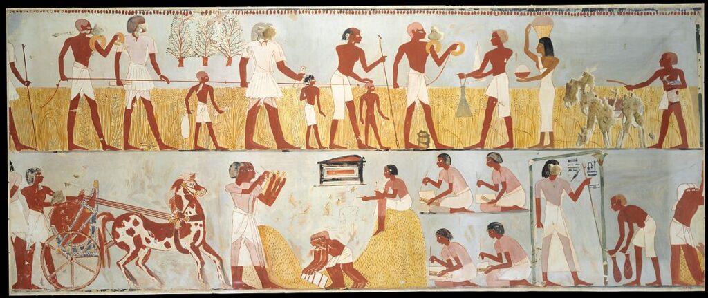 Tools And Products Of Ancient Egyptian Craftsmen