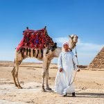 2 day tour to Cairo and luxor