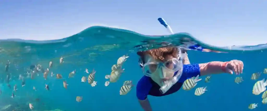 Egypt Red Sea Holidays