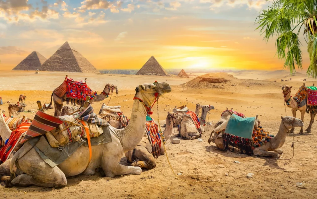 Explore the Nile on 15 Days