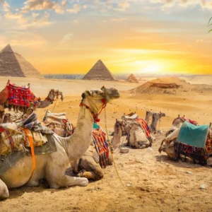 Explore the Nile on 15 Days