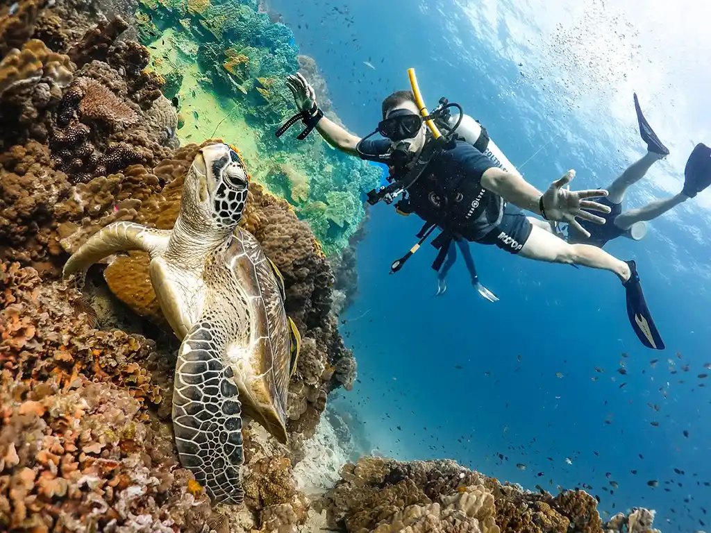 Hurghada Diving And Best Hotels Sites 1 Hurghada Diving Sites