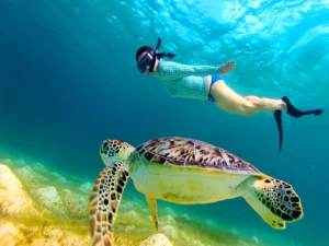Hurghada Diving And Best Hotels Sites