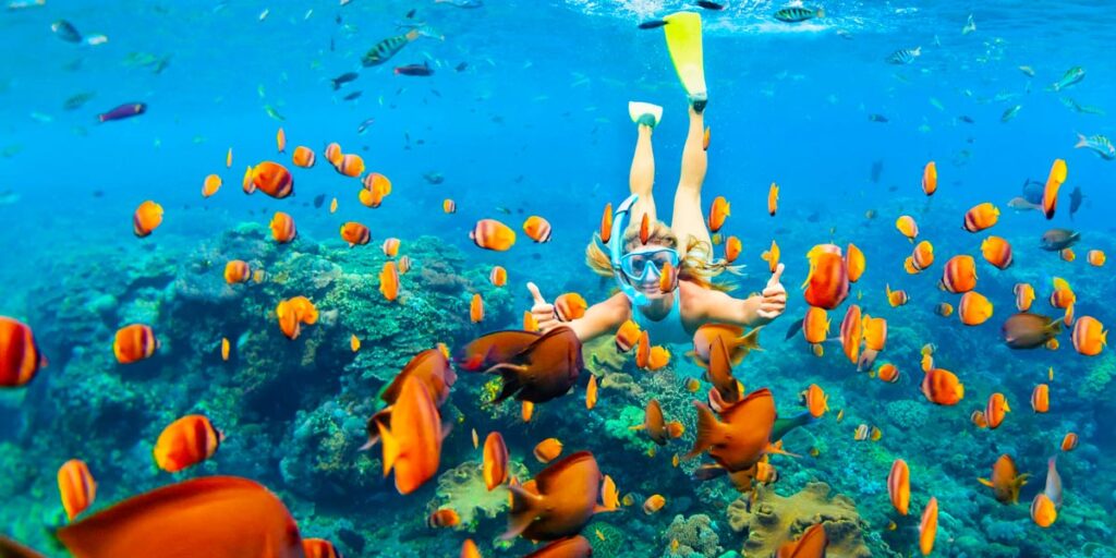 Snorkeling Trip in Hurghada 