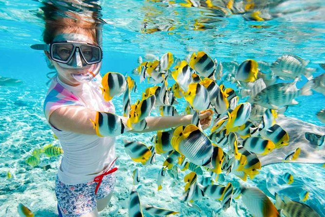 Snorkeling in Hurghada Red Sea